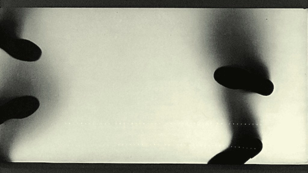 Lançamento de “Cooperación internacional al desarrollo: entre solidaridad e interés”, de Carlos R. S. Milani